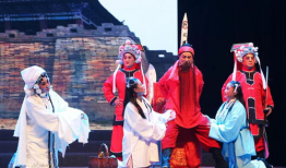 戏剧表演视频,戏剧表演视频中的情感演绎与舞台魅力