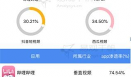 b站视频比例,热门领域与冷门题材的较量