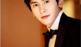 娱乐圈吃瓜爆料许凯,揭秘明星背后的真相与争议