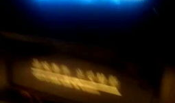 aaaaa视频,揭秘神秘事件背后的真相