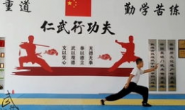 五步拳教学视频,轻松掌握传统武术精髓